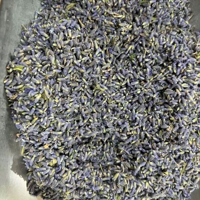 薰衣草干花粒熏衣草干花正品薰衣草天然干花