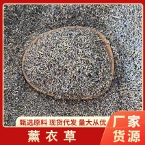 薰衣草干花粒熏衣草干花正品薰衣草天然干花