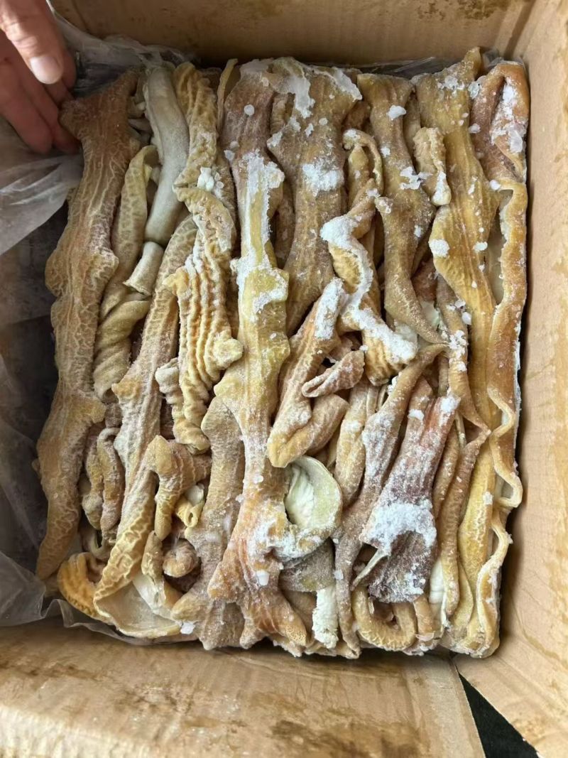 开边预煮小肠