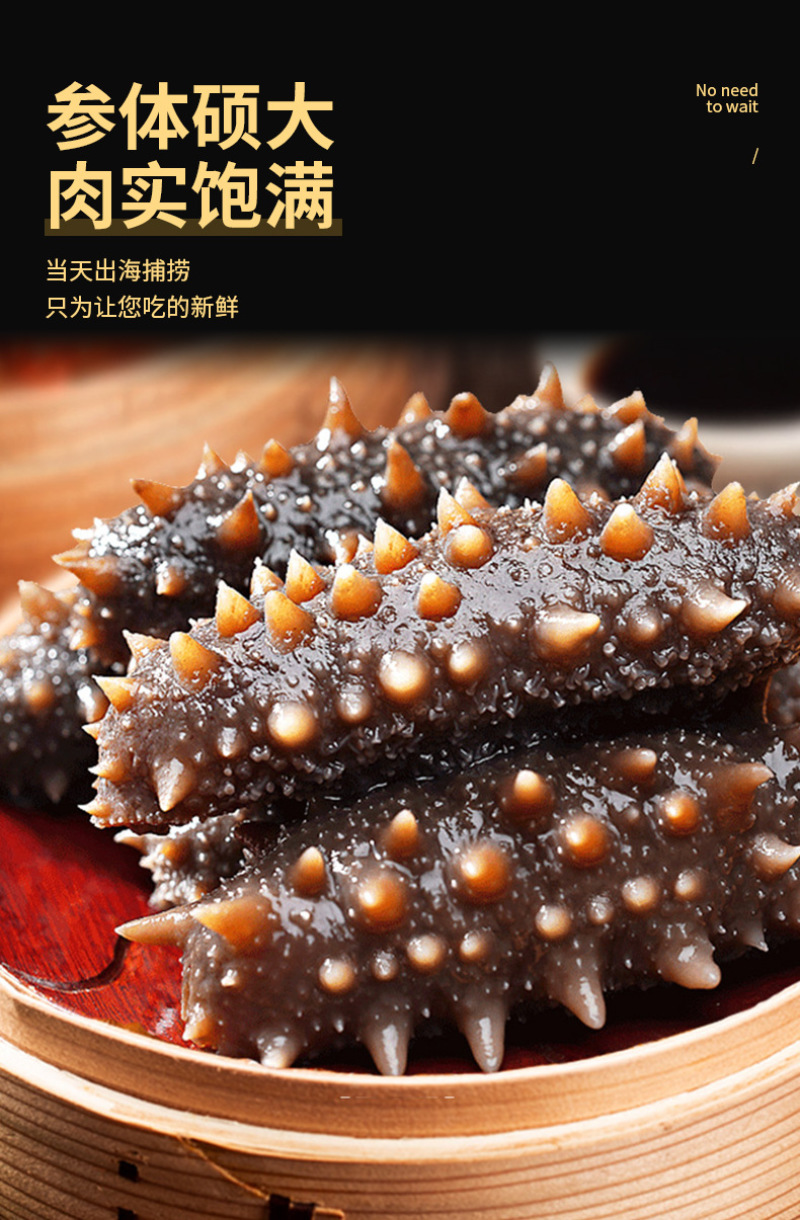 即食海参鲜食海参500g辽刺参非鲜活孕妇速冻独立包装海参