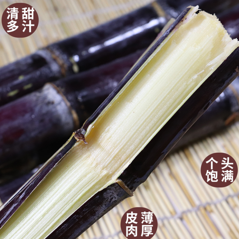 黑皮甘蔗，电商供货，一件代发