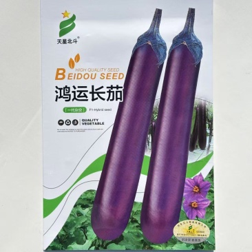 天星北斗鸿运长茄种子中晚熟果面深紫色果肉白色细嫩茄子种子