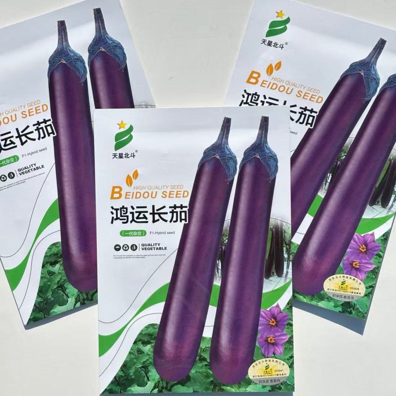 天星北斗鸿运长茄种子中晚熟果面深紫色果肉白色细嫩茄子种子