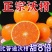 正宗广西沃柑/电商一件代发商品团购24小揽收