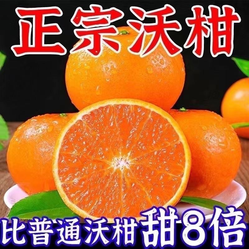 正宗广西沃柑/电商一件代发商品团购24小揽收