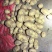 土豆v79恩