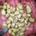 土豆v79恩