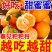 爱媛耙耙柑电商一件商超团购24小时揽收
