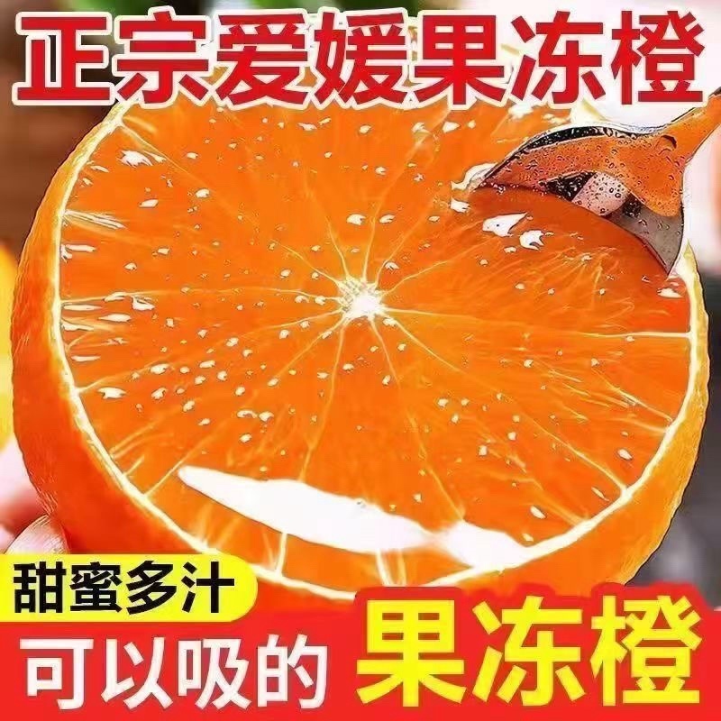 爱媛耙耙柑电商一件商超团购24小时揽收