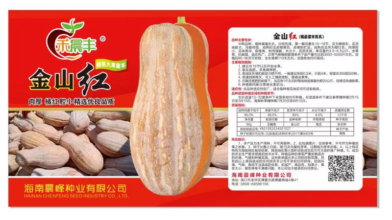 金山红大果蜜本肉厚皮硬皮色漂亮