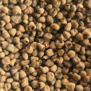 覆盆子大粒覆盆子大颗粒聚源中药材批发