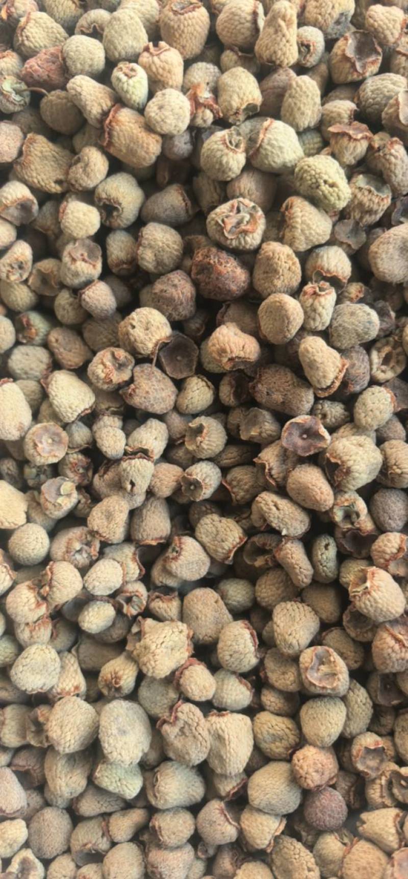 覆盆子大粒覆盆子大颗粒聚源中药材批发