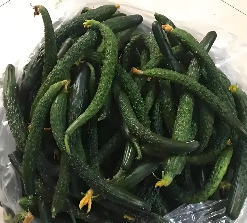 榨汁、酱菜厂密刺黄瓜不限量供应各种规格均可定制