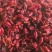 《山茱萸》山萸肉山芋肉买好药尽在聚源中药