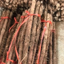 河南铁棍山药价格优惠整车走货对接全国量大从优质量（热卖）