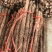 河南铁棍山药价格优惠整车走货对接全国量大从优质量(热卖)