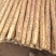 河南铁棍山药价格优惠新鲜上市价格美丽对接全国量大从优热卖