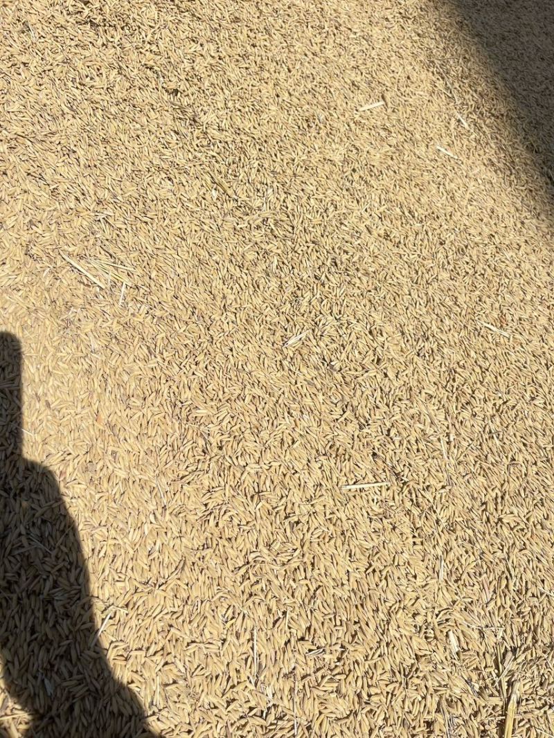 自产自销