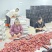 精品流心柿饼电商**支持代发精品柿饼电商货售后极低