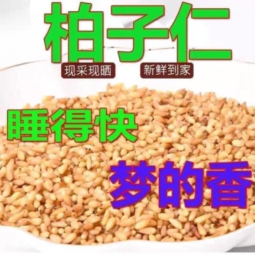 包邮）野生柏子仁中药材500g正宗去壳柏子柏籽仁炒柏子仁