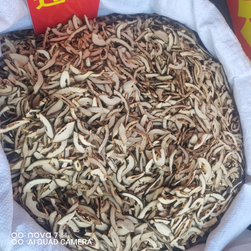 枳壳规格齐全常年大货供应含量达标的货
