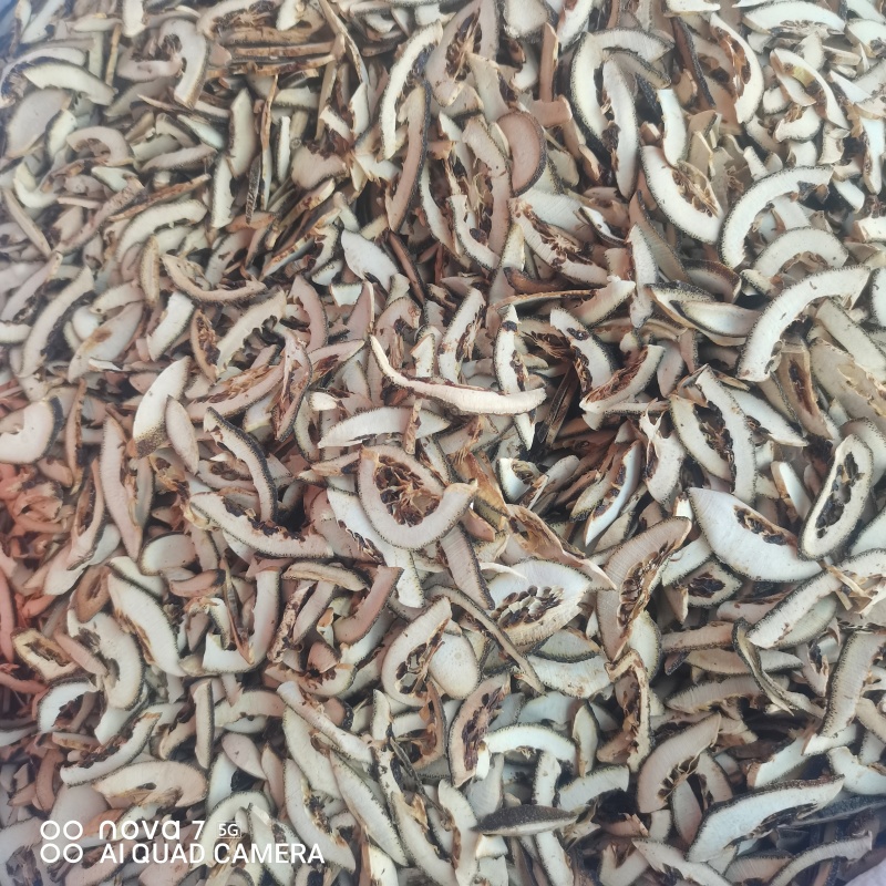 枳壳规格齐全常年大货供应含量达标的货