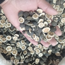 枳实中药材新货规格齐全过筛大货供应