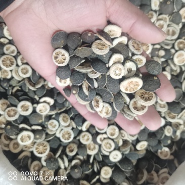 枳实中药材新货规格齐全过筛大货供应