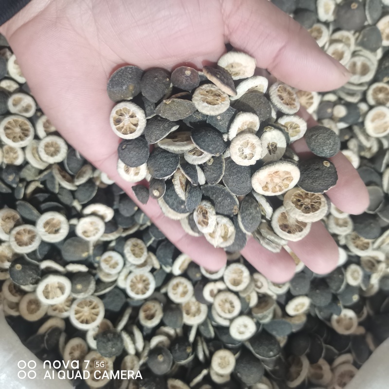枳实中药材新货规格齐全过筛大货供应