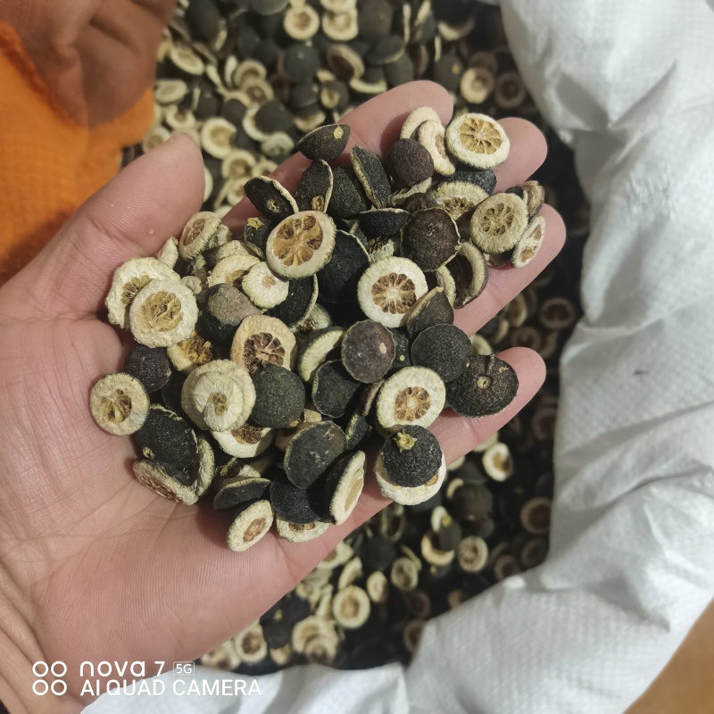 枳实中药材新货规格齐全过筛大货供应