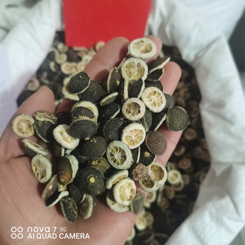 枳实中药材新货规格齐全过筛大货供应
