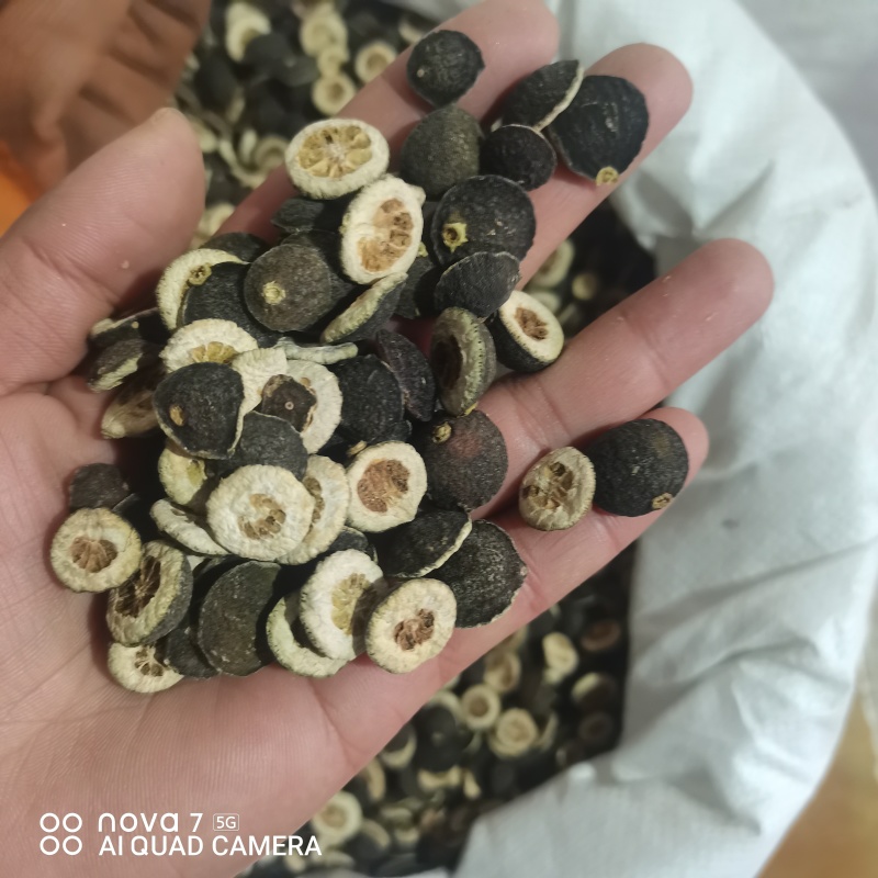 枳实中药材新货规格齐全过筛大货供应