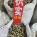 枳实中药材新货规格齐全过筛大货供应