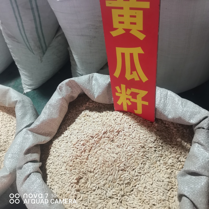 黄瓜籽中药材干货规格齐全新货大货供应