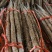 温县铁棍山药对接全国量大从优对接全国欢迎采购质量好走货快