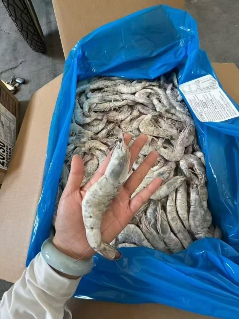 南美进口白虾，量大从优