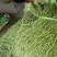 贡菜干（一件代发）规格齐全诚信经营，可视频看货代发全国