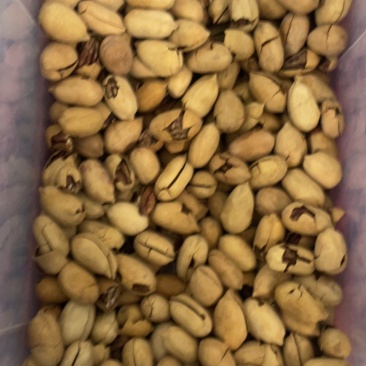 碧根果电商货