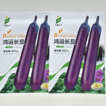 天星北斗鸿运长茄种子中晚熟果色深紫红白肉茄子种子紫红茄子
