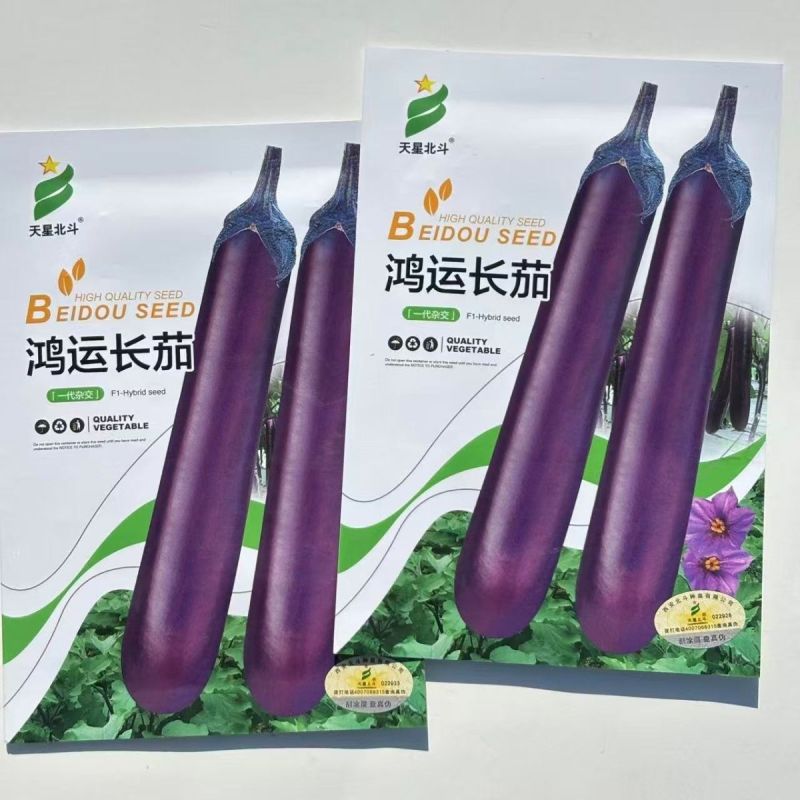 天星北斗鸿运长茄种子中晚熟果色深紫红白肉茄子种子紫红茄子