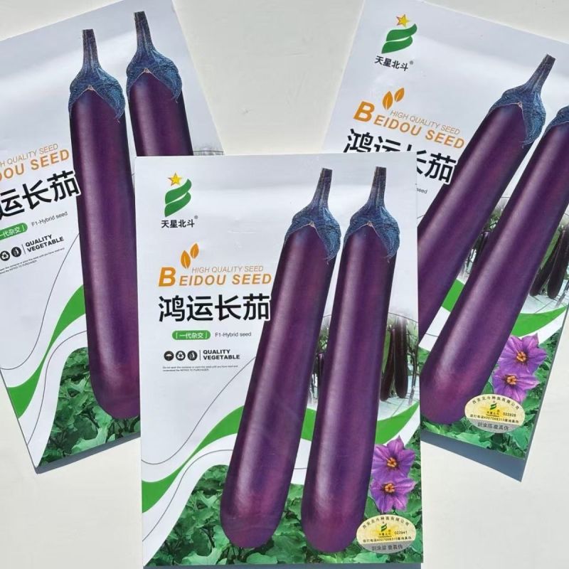 天星北斗鸿运长茄种子中晚熟果色深紫红白肉茄子种子紫红茄子