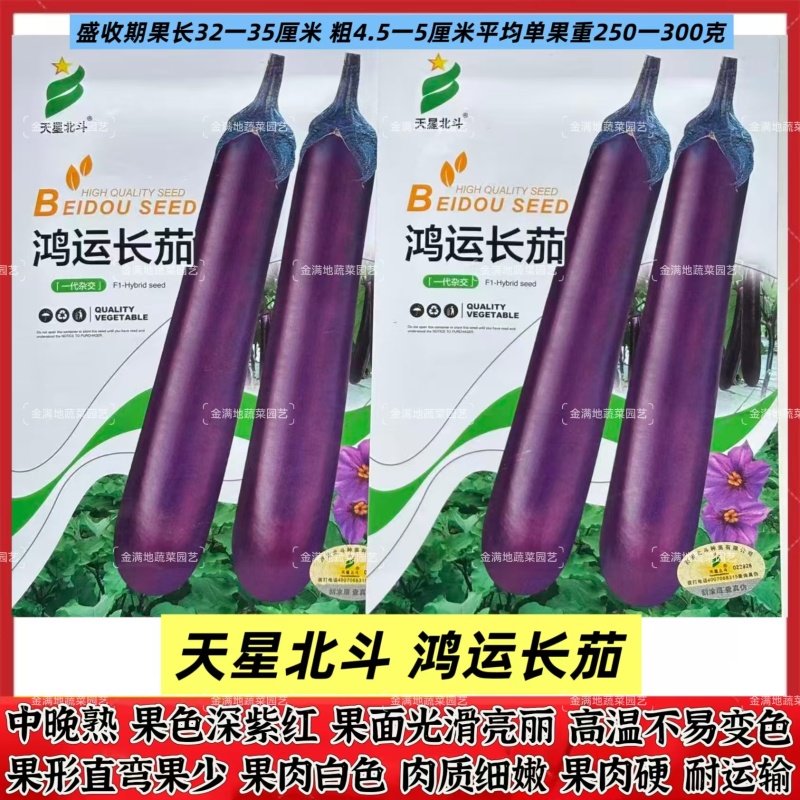 天星北斗鸿运长茄种子中晚熟果色深紫红白肉茄子种子紫红茄子