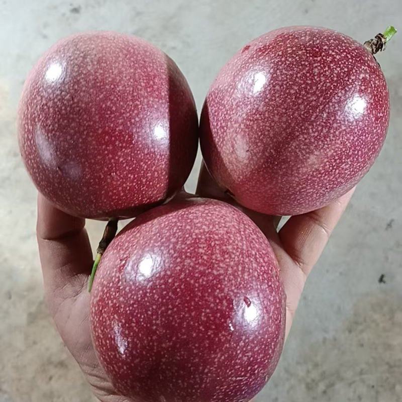 水蜜桃百香果金都3号