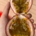 水蜜桃百香果金都3号