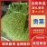 贡菜干（一件代发）规格齐全诚信经营，可视频看货代发全国