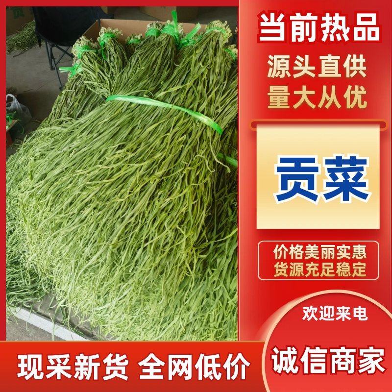 贡菜干（一件代发）规格齐全诚信经营，可视频看货代发全国