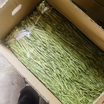 云南贡菜干批发产地一手货源（规格齐全）诚信经营，代发全国