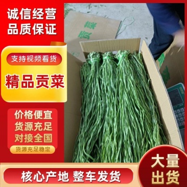 贡菜干产地一手货源，规格齐全（一件代发）对接全国客商