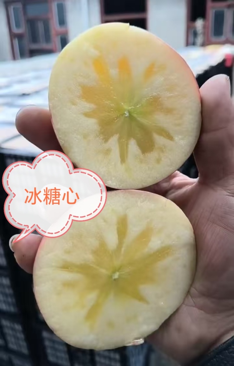 运城中条山冰糖心红富士苹果70-85各种各样