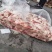 母猪倒四六